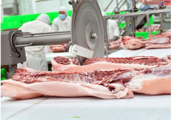 天龙配资 年营收超千亿，养猪巨头赴港二次上市！