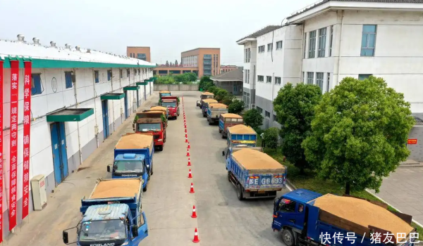 恒瑞易配 油价大降变大涨！4月19日：调价后92,95号汽油价格，麦价温和上涨