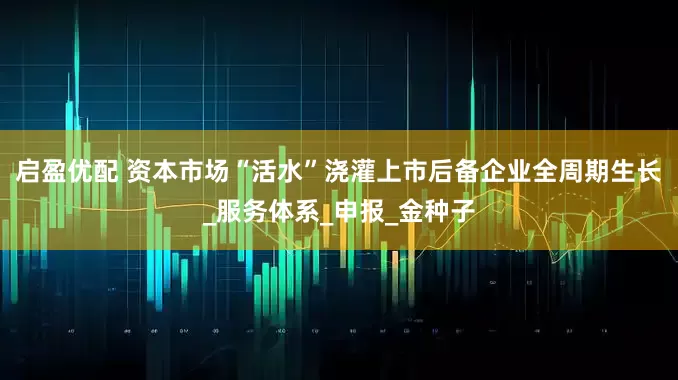 启盈优配 资本市场“活水”浇灌上市后备企业全周期生长_服务体系_申报_金种子